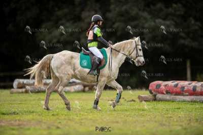 TREC02-06082024-448