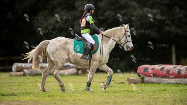TREC02-06082024-448