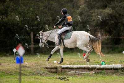 TREC02-06082024-449