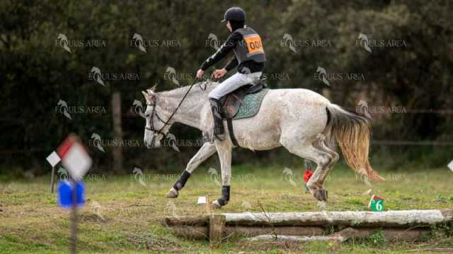 TREC02-06082024-449