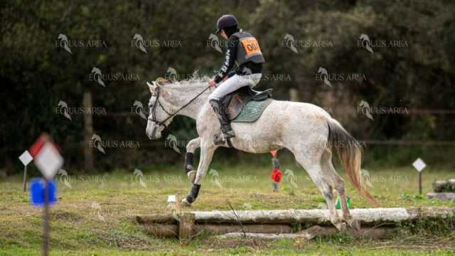 TREC02-06082024-450
