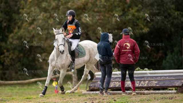 TREC02-06082024-451