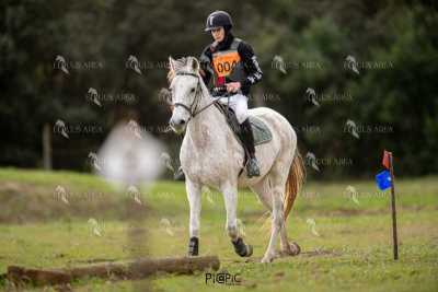 TREC02-06082024-452