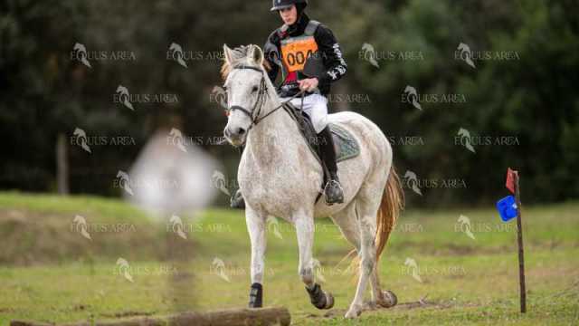 TREC02-06082024-452
