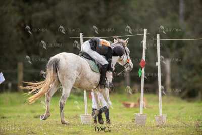 TREC02-06082024-453