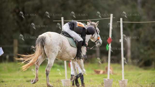 TREC02-06082024-453