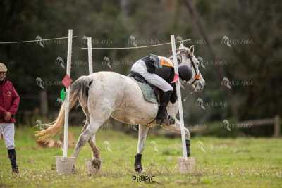TREC02-06082024-454
