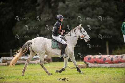 TREC02-06082024-455