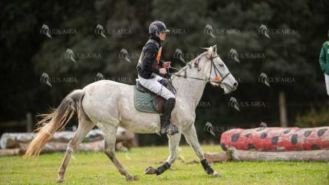TREC02-06082024-455