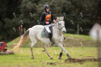 TREC02-06082024-456