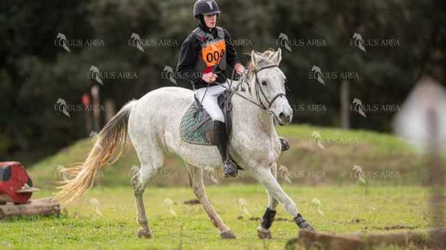 TREC02-06082024-456