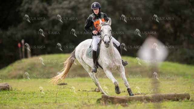 TREC02-06082024-457