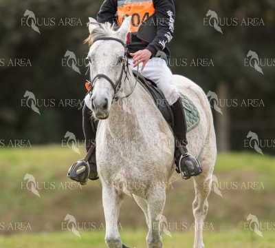 TREC02-06082024-458