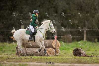 TREC02-06082024-459