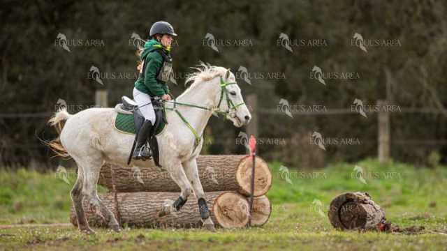 TREC02-06082024-459