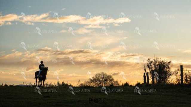 TREC02-06082024-46