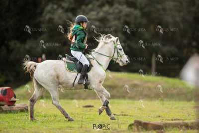 TREC02-06082024-460