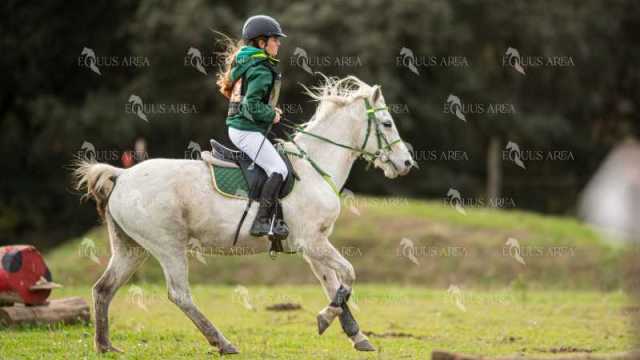 TREC02-06082024-460