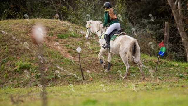 TREC02-06082024-461