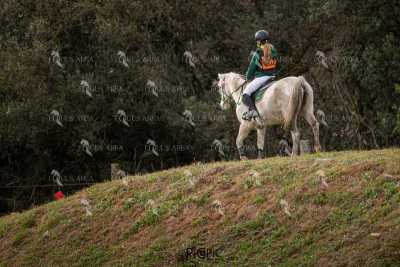 TREC02-06082024-462