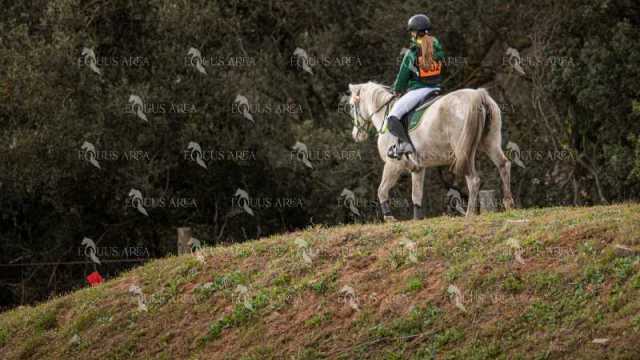 TREC02-06082024-462