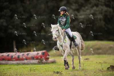 TREC02-06082024-463