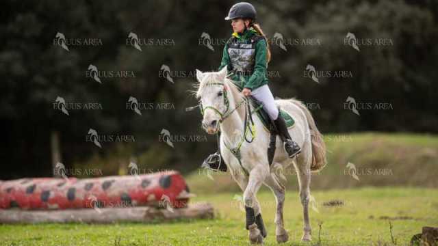 TREC02-06082024-463