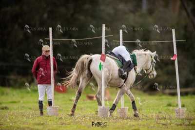 TREC02-06082024-464