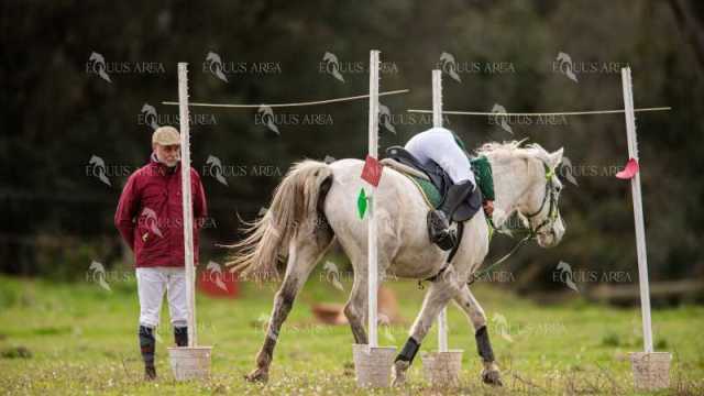 TREC02-06082024-464