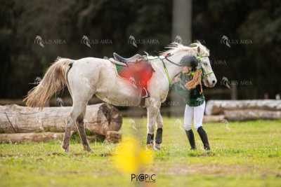TREC02-06082024-465