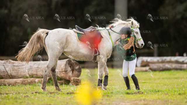 TREC02-06082024-465