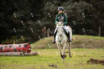TREC02-06082024-466