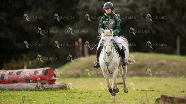 TREC02-06082024-466