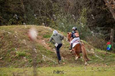 TREC02-06082024-467