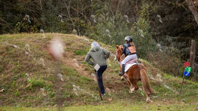 TREC02-06082024-467