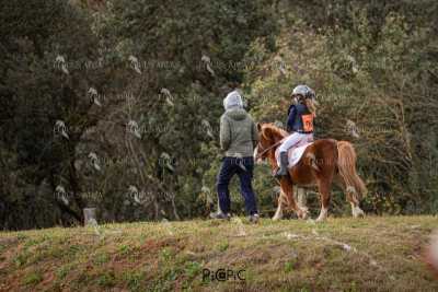 TREC02-06082024-468