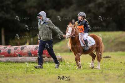 TREC02-06082024-469