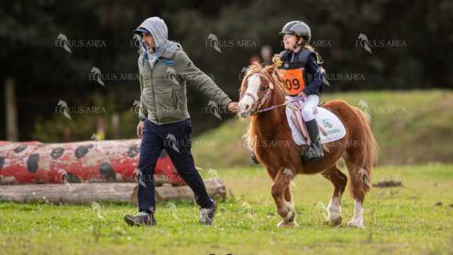 TREC02-06082024-469