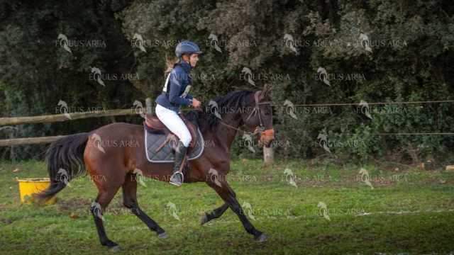 TREC02-06082024-47