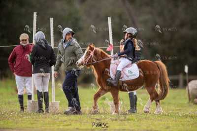 TREC02-06082024-470