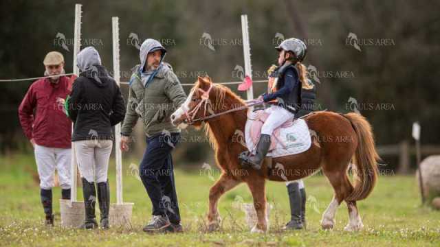 TREC02-06082024-470