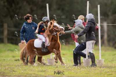 TREC02-06082024-471