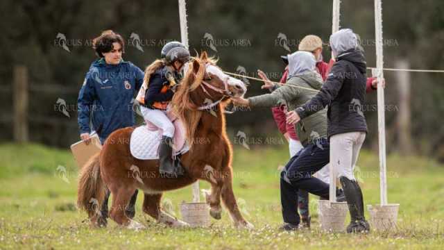 TREC02-06082024-471