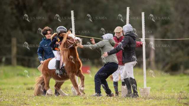 TREC02-06082024-472