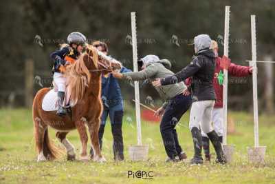 TREC02-06082024-474