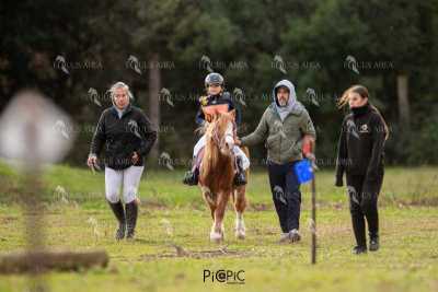 TREC02-06082024-476