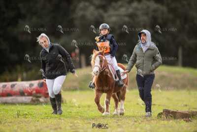 TREC02-06082024-477