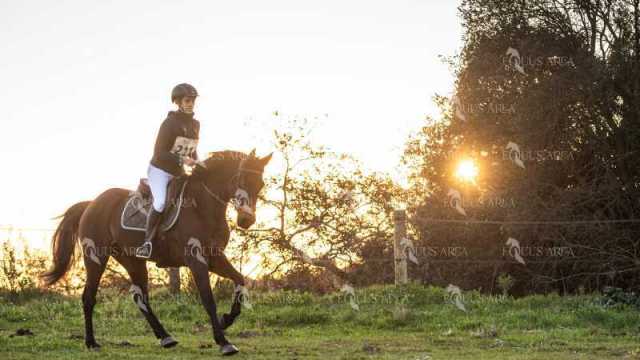 TREC02-06082024-48