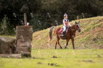 TREC02-06082024-480
