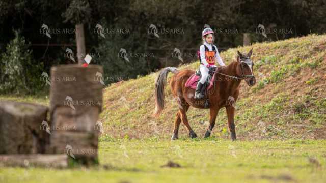 TREC02-06082024-480